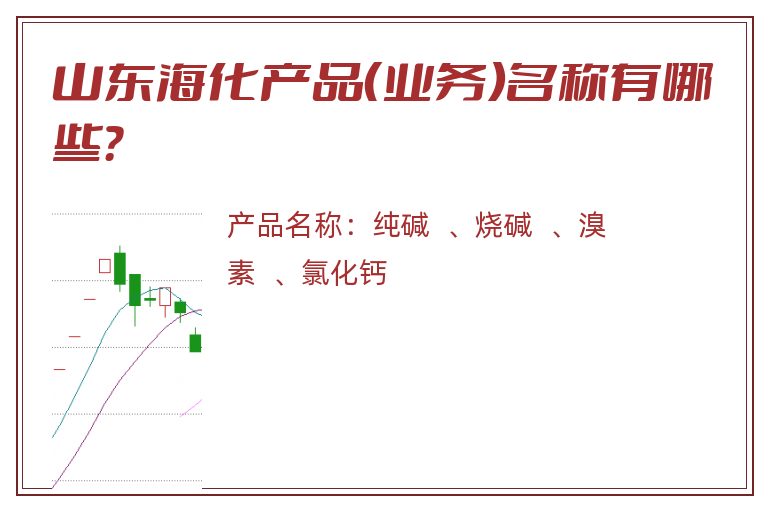 山东海化产品（业务）名称有哪些？