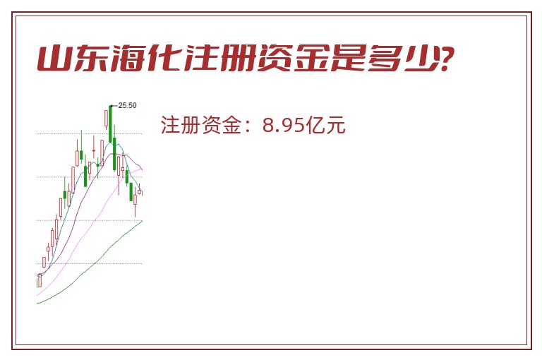 山东海化注册资金是多少？