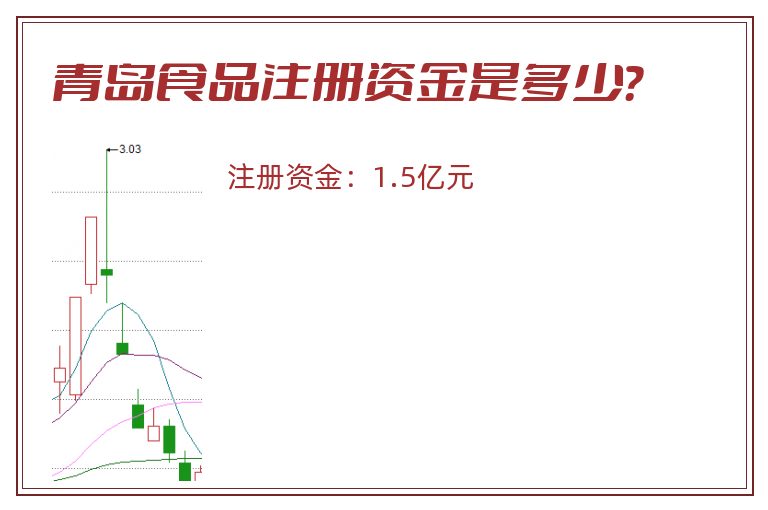 青岛食品注册资金是多少？