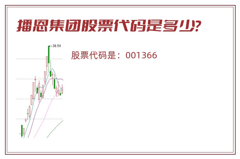 播恩集团股票代码是多少？