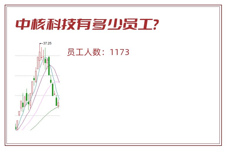 中核科技有多少员工？