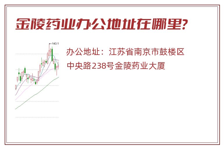 金陵药业办公地址在哪里？