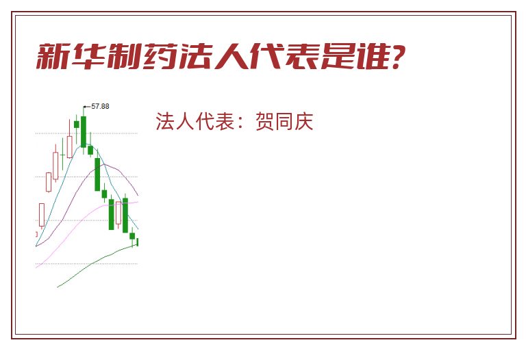 新华制药法人代表是谁？