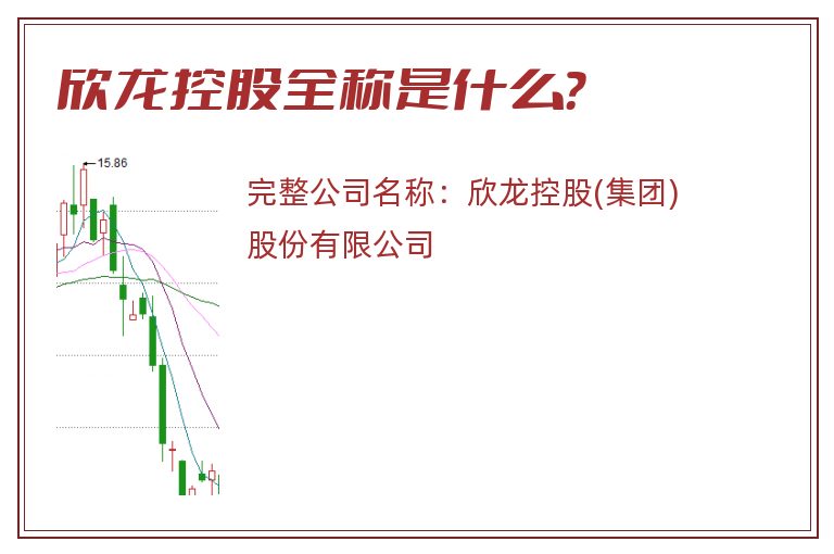 欣龙控股全称是什么？