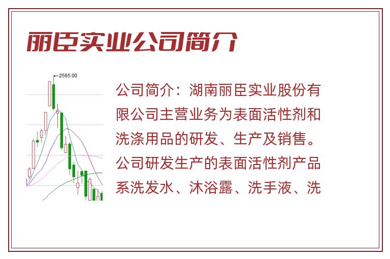 丽臣实业公司简介