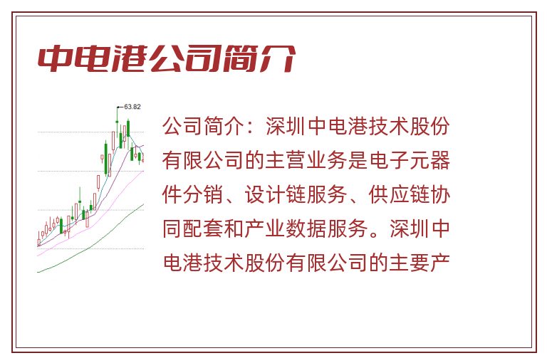 中电港公司简介