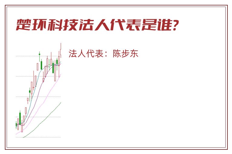 楚环科技法人代表是谁？