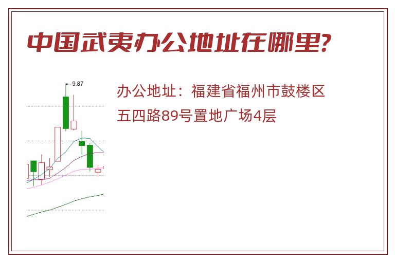 中国武夷办公地址在哪里？