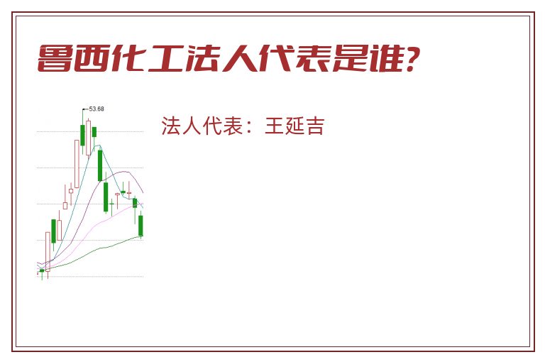 鲁西化工法人代表是谁？