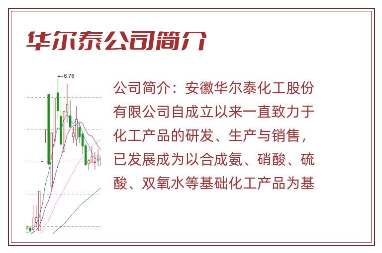 华尔泰公司简介