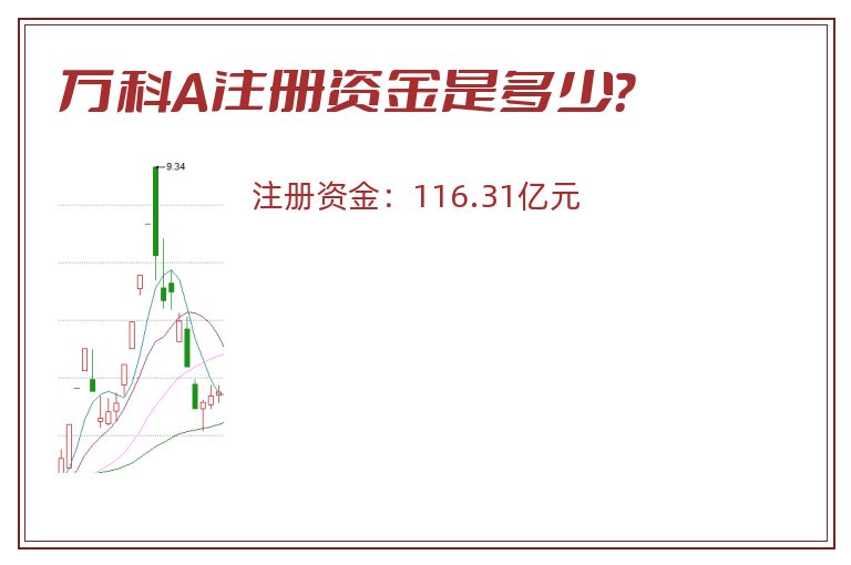 万科A注册资金是多少？