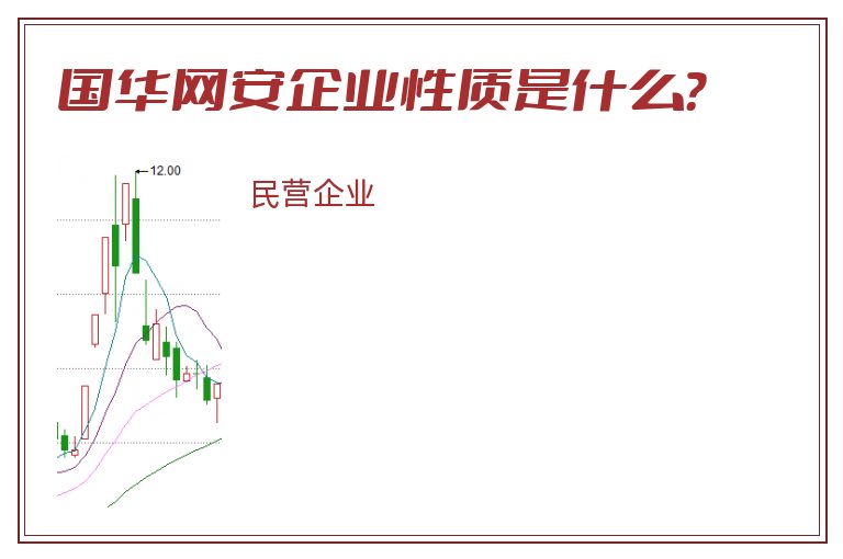 国华网安企业性质是什么？