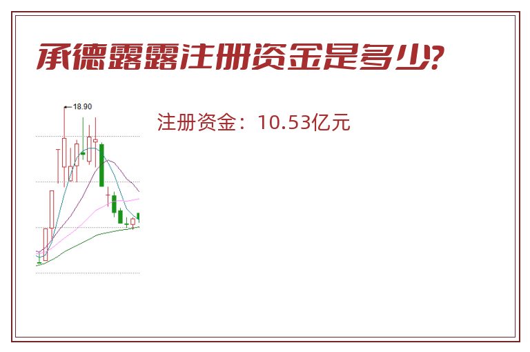 承德露露注册资金是多少？