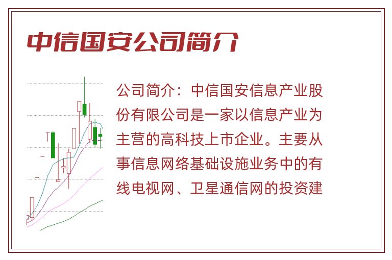 中信国安公司简介