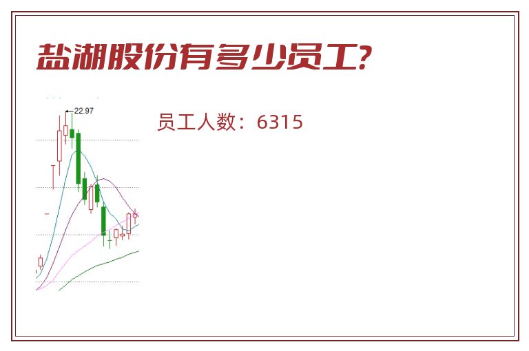 盐湖股份有多少员工？