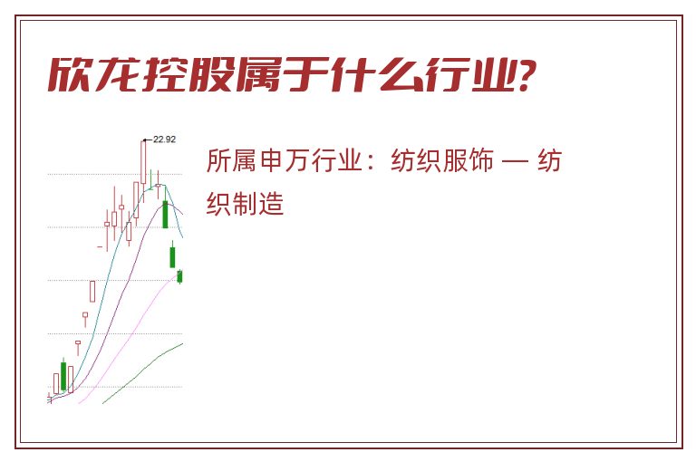 欣龙控股属于什么行业？