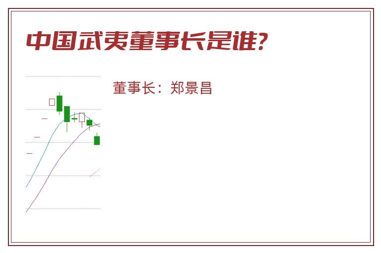 中国武夷董事长是谁？