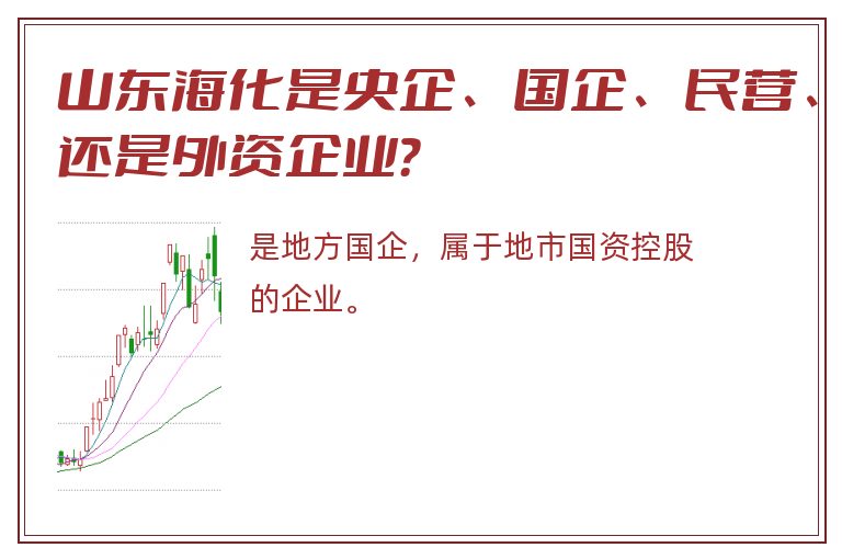 山东海化是央企、国企、民营、还是外资企业？