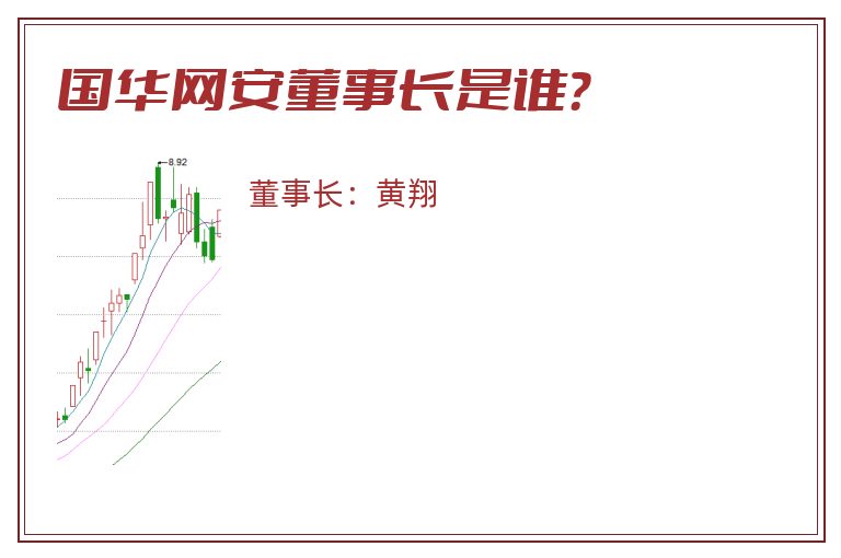 国华网安董事长是谁？