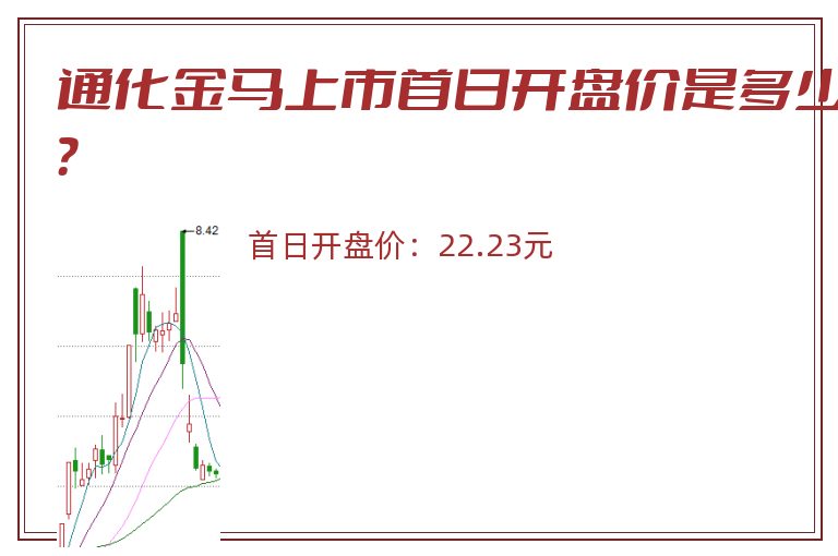 通化金马上市首日开盘价是多少？