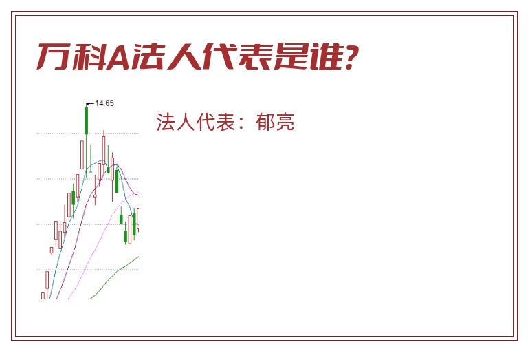 万科A法人代表是谁？