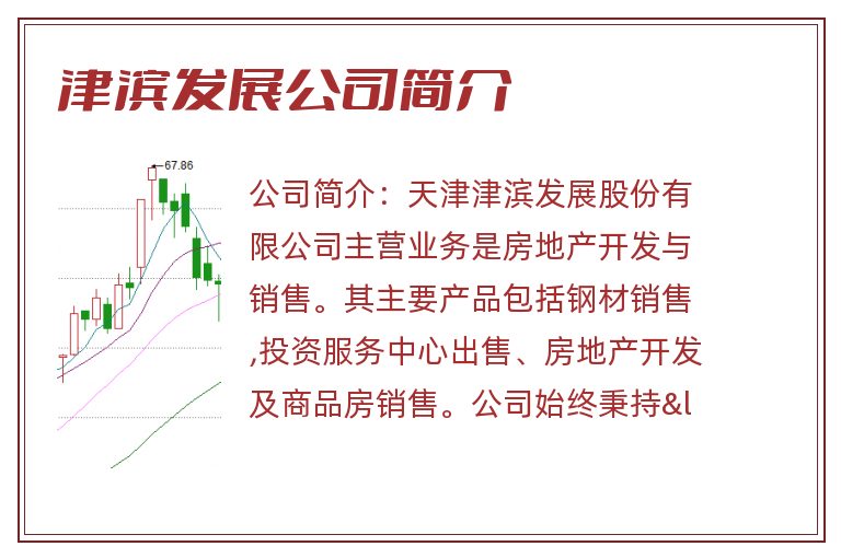 津滨发展公司简介