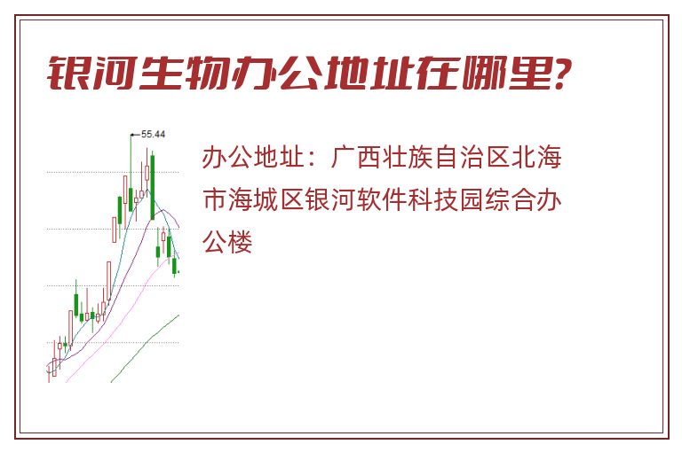 银河生物办公地址在哪里？