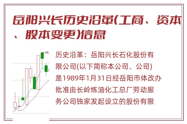 岳阳兴长历史沿革（工商、资本、股本变更）信息