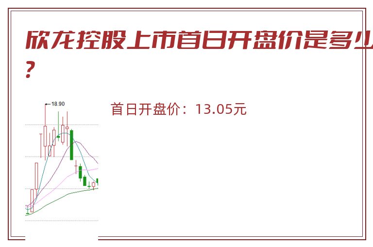 欣龙控股上市首日开盘价是多少？