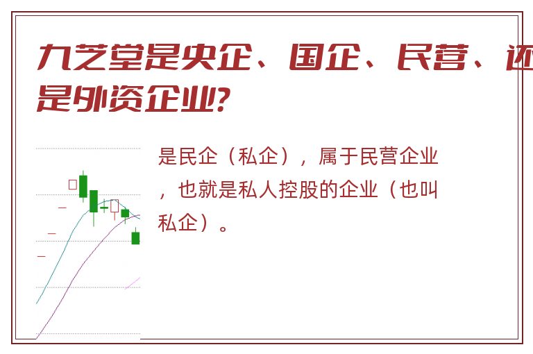 九芝堂是央企、国企、民营、还是外资企业？