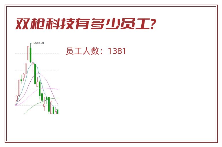 双枪科技有多少员工？