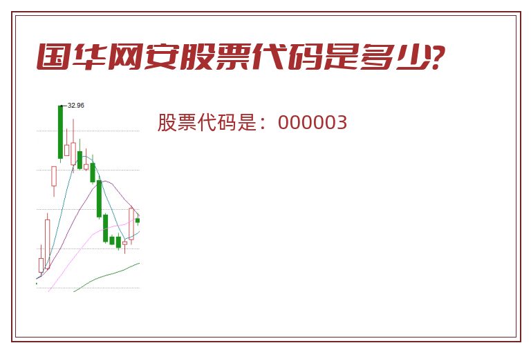 国华网安股票代码是多少？