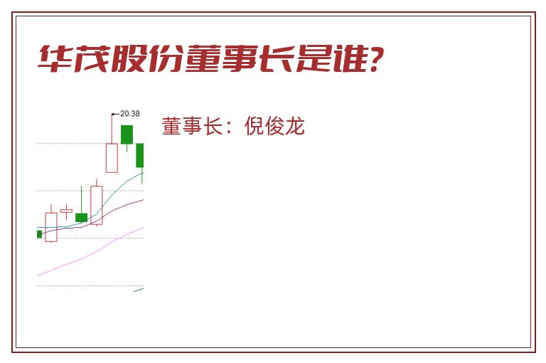 华茂股份董事长是谁？