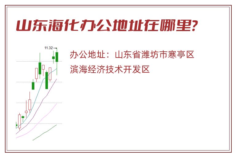 山东海化办公地址在哪里？