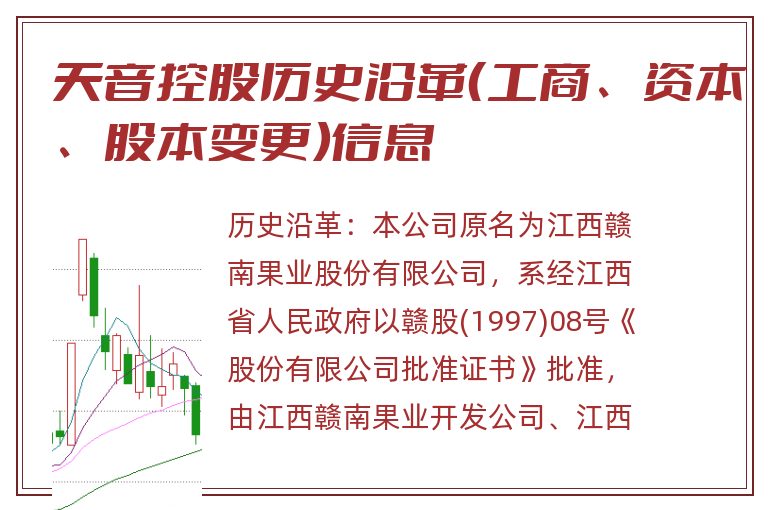 天音控股历史沿革（工商、资本、股本变更）信息