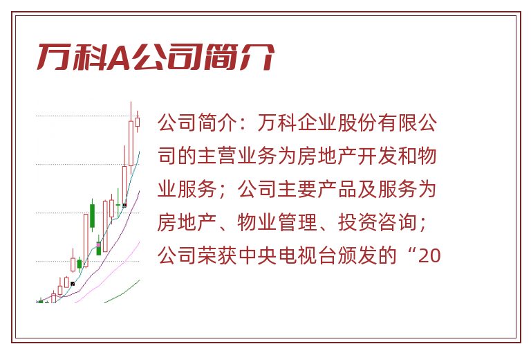 万科A公司简介