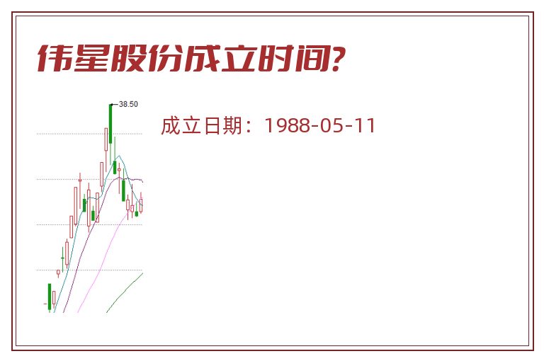 伟星股份成立时间？