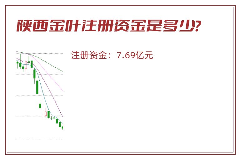 陕西金叶注册资金是多少？