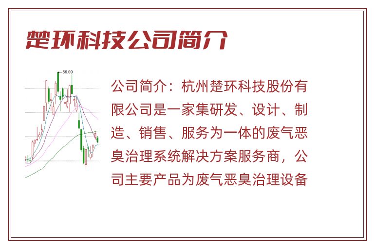 楚环科技公司简介