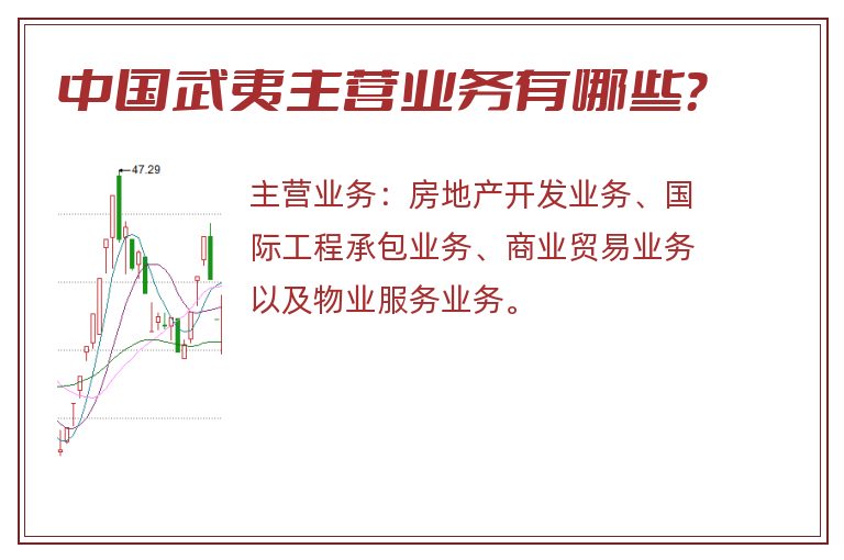 中国武夷主营业务有哪些？