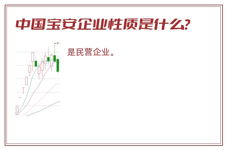 中国宝安企业性质是什么？