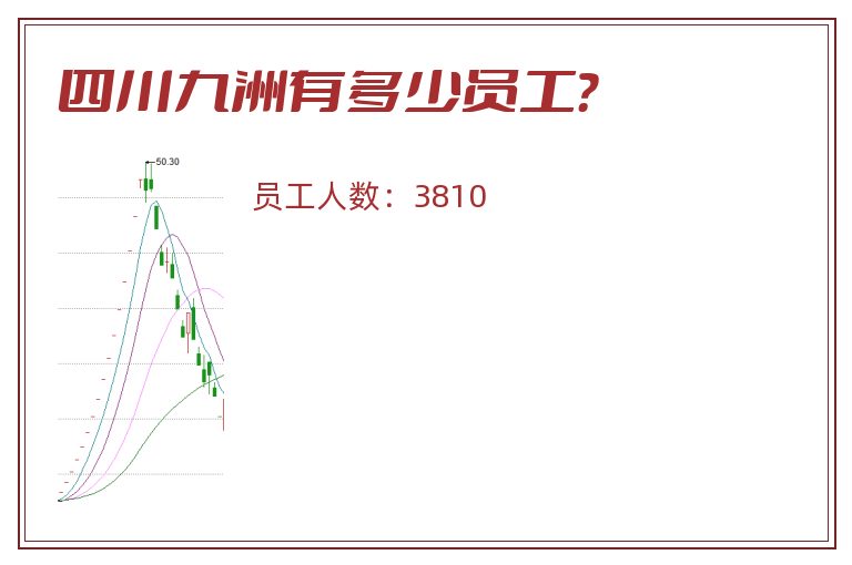 四川九洲有多少员工？