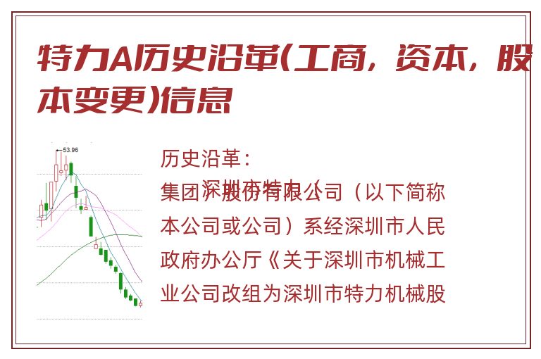 特力A历史沿革（工商，资本，股本变更）信息