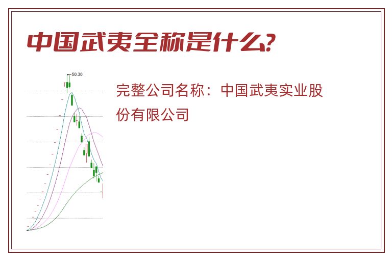 中国武夷全称是什么？