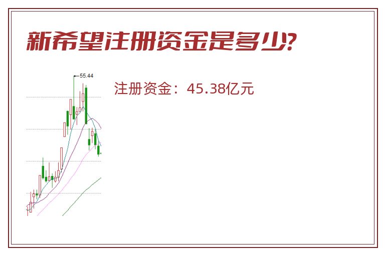 新希望注册资金是多少？