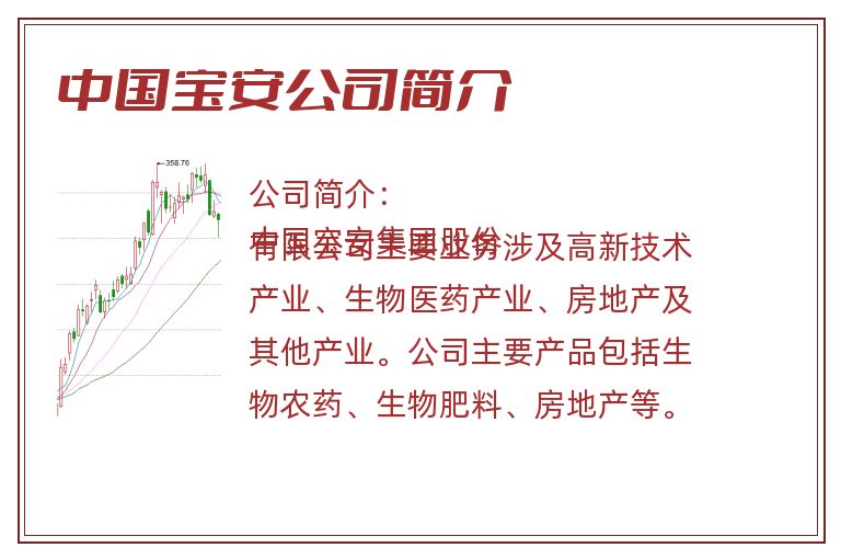 中国宝安公司简介