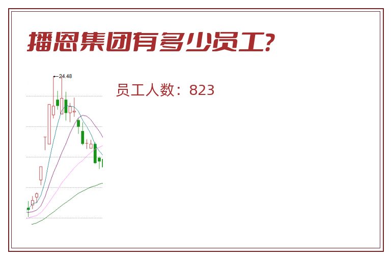 播恩集团有多少员工？