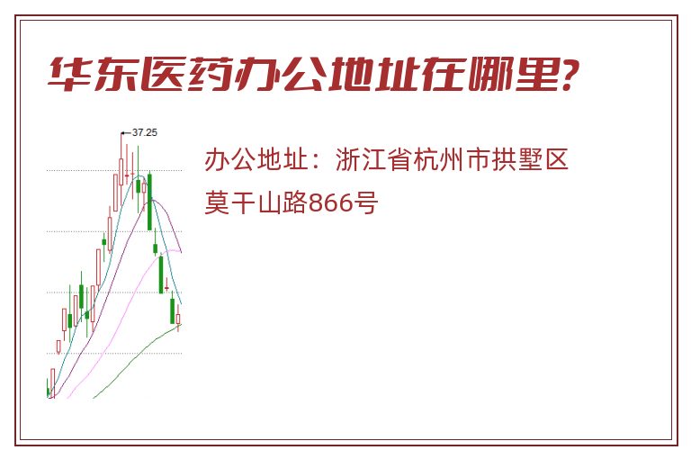 华东医药办公地址在哪里？