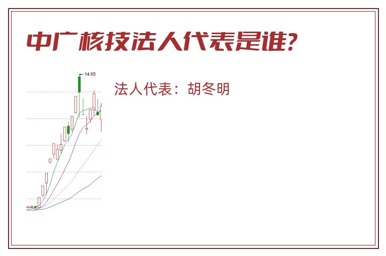 中广核技法人代表是谁？