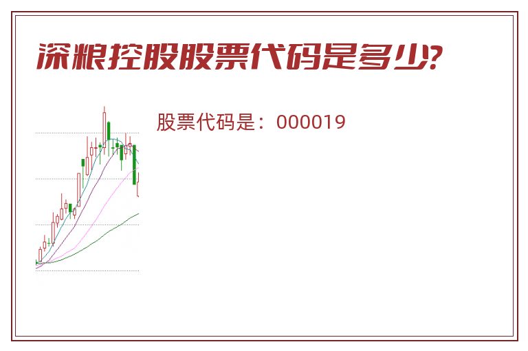 深粮控股股票代码是多少？